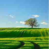 快​速‌内‍容‌缓‌存​插‌件‌